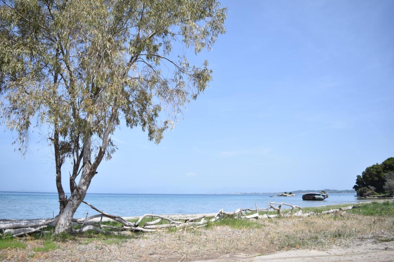 Corfu Seaview Maisonette - Sopra Il Mare Petrití Dış mekan fotoğraf